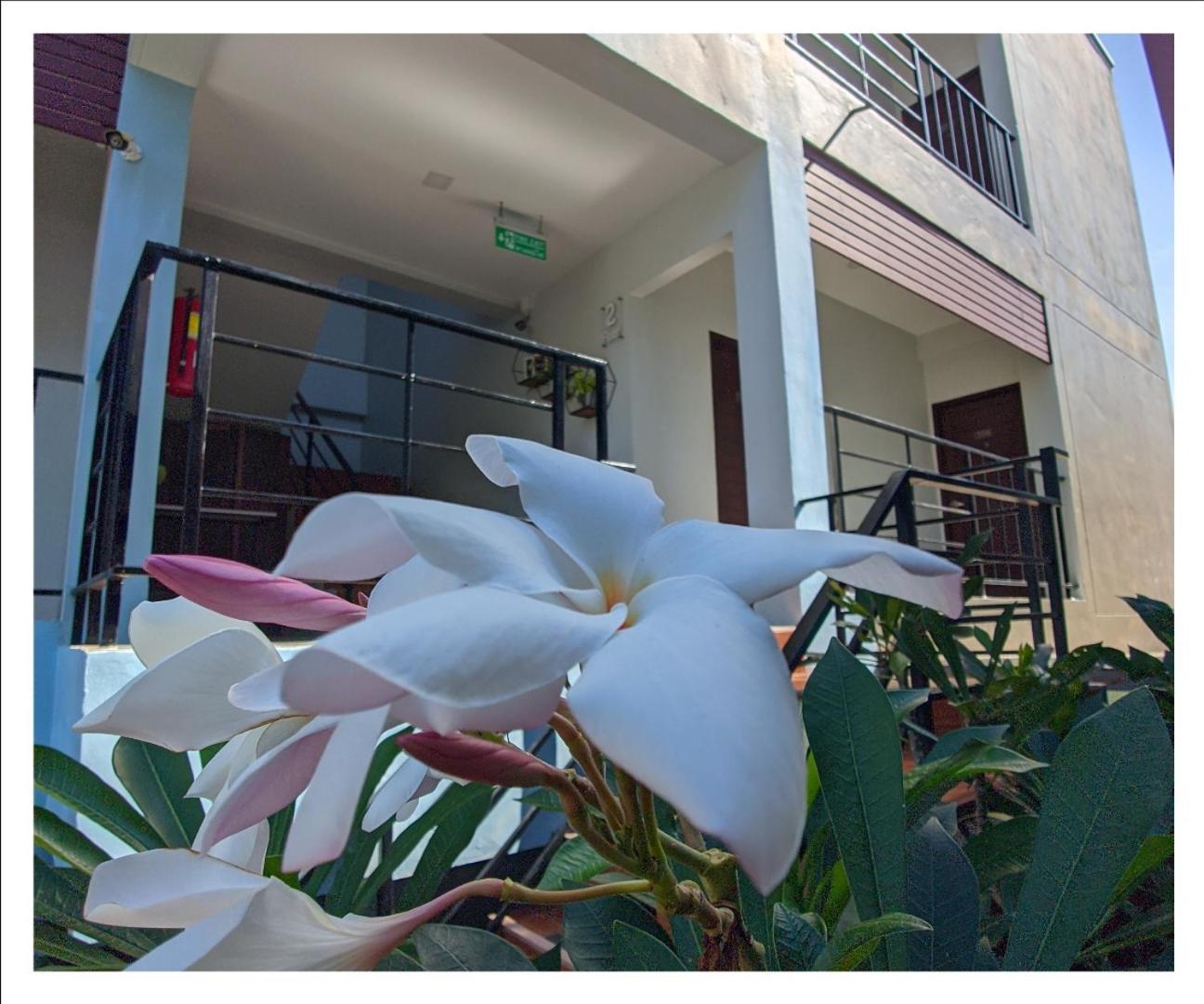 3B Apartment-Sha Extra Plus شاطئ كامالا المظهر الخارجي الصورة